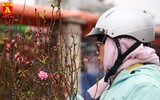 Đào Nhật Tân nở sớm, tràn ngập chợ hoa Quảng Bá